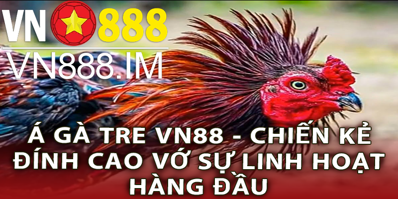 Trận Đá Gà 24 Tỷ